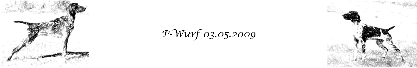 P-Wurf 03.05.2009