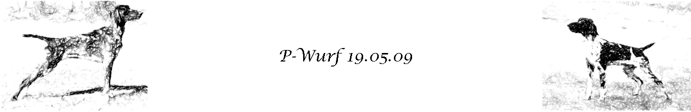 P-Wurf 19.05.09