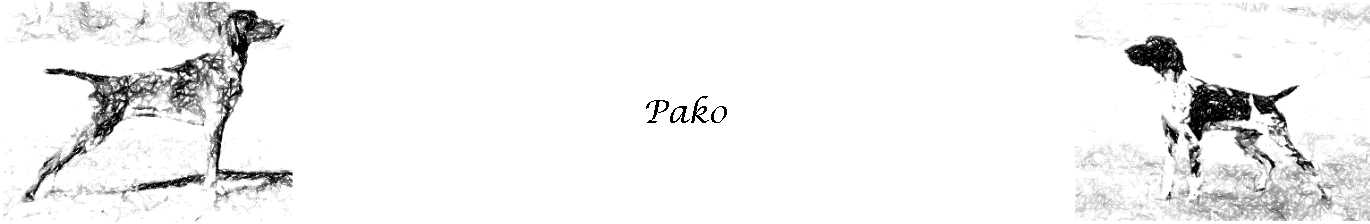 Pako