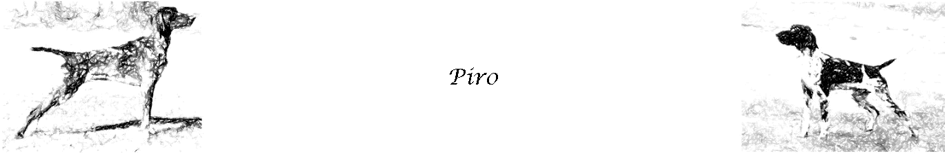 Piro