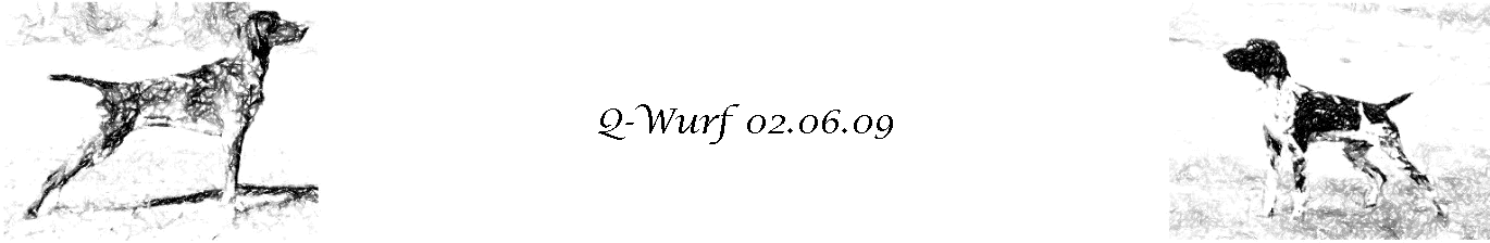 Q-Wurf 02.06.09