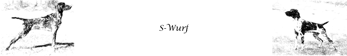 S-Wurf