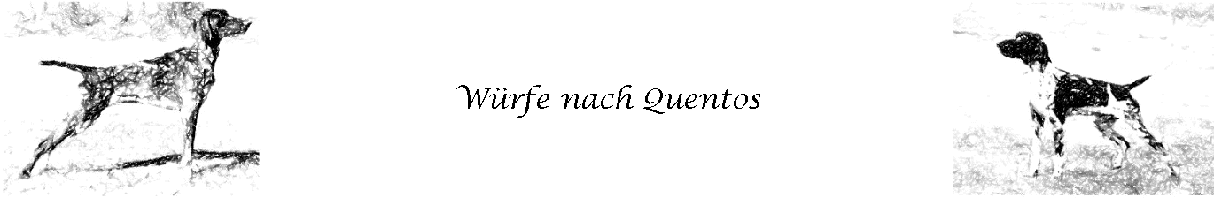 Würfe nach Quentos