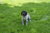 z 2011-05-20 T-Wurf0003.JPG (268059 Byte)