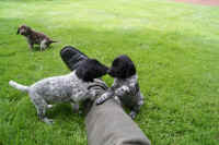 z 2011-05-20 T-Wurf0004.JPG (278778 Byte)