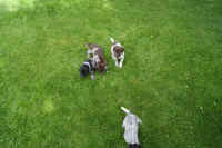 z 2011-05-20 T-Wurf0005.JPG (326003 Byte)